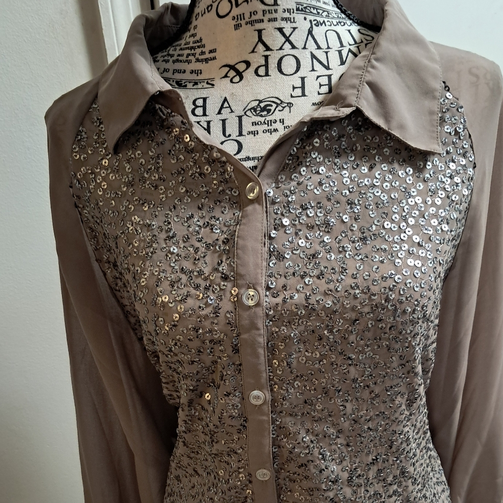 Semi-sheer sequined top